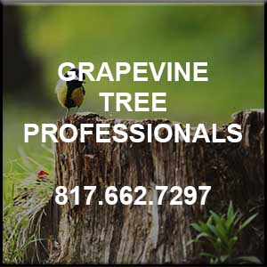 Click for Grapevine Tree Professionals
